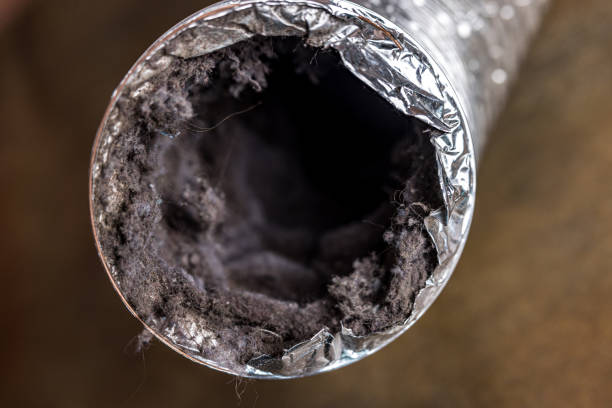 Best Affordable HVAC Duct Cleaning  in Mars Hill, NC